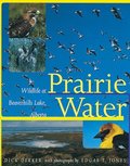 Prairie Water