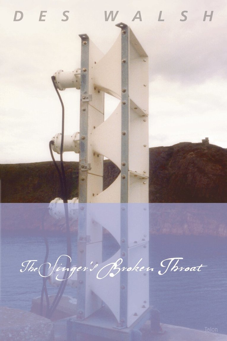 Des Walsh - Singer's Broken Throat, Häftad. Tillgänglighet: Tillfälligt slut