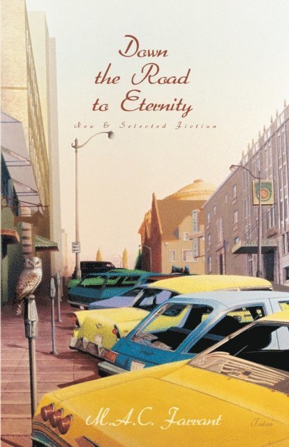 M.A.C. Farrant, Karl Siegler - Down the Road to Eternity, E-bok