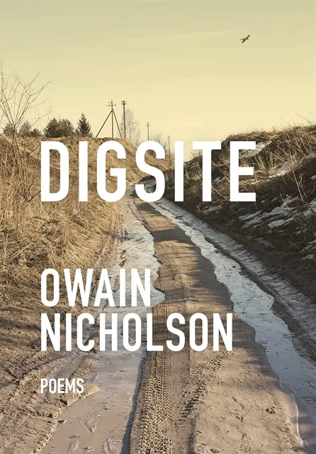 Owain Nicholson - Digsite, E-bok. Tillgänglighet: Lägg i varukorg