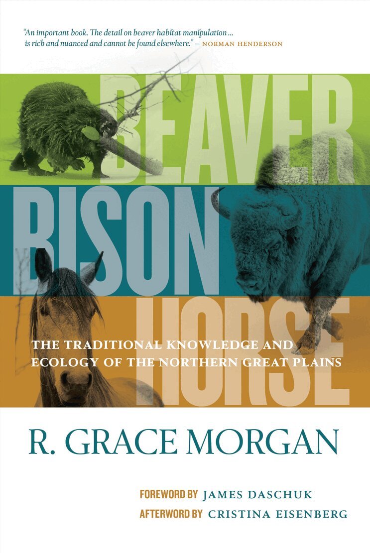 R. Grace Morgan - Beaver, Bison, Horse, Inbunden