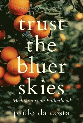 paulo da costa - Trust the Bluer Skies, Häftad. Tillgänglighet: Lägg i varukorg