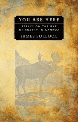 James Pollock - You Are Here, Häftad