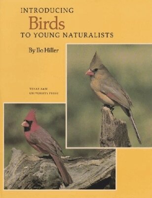 Ilo Hiller - Introducing Birds, Häftad. Tillgänglighet: Tillfälligt slut