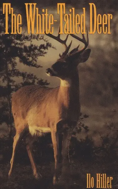 Hiller - White-Tailed Deer, Häftad. Tillgänglighet: Lägg i varukorg