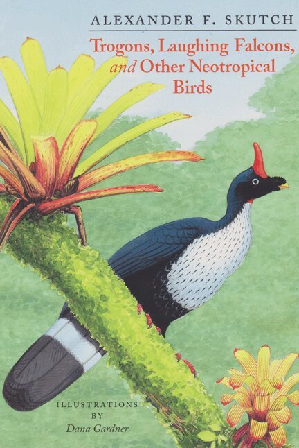 Alexander F. Skutch - Trogons, Laughing Falcons and Other Neotropical Birds, Inbunden. Tillgänglighet: Tillfälligt slut