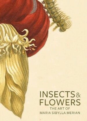 . Brafman - Insects and Flowers – The Art of Maria Sibylla Merian, Häftad