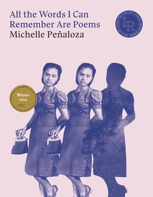 Michelle Peñaloza - All the Words I Can Remember Are Poems, Häftad