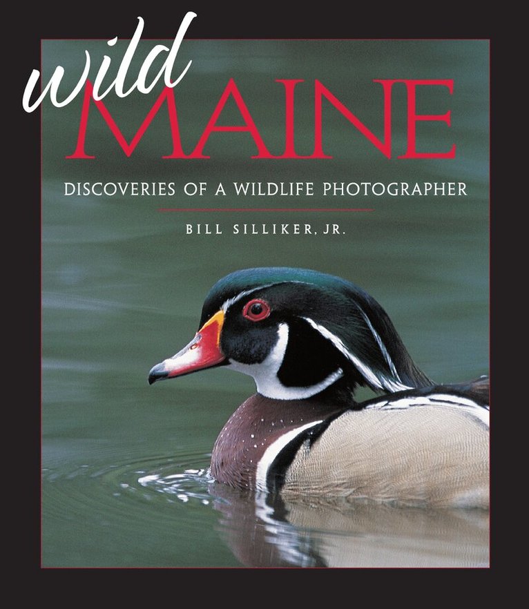 Bill Silliker Jr. - Wild Maine, Inbunden