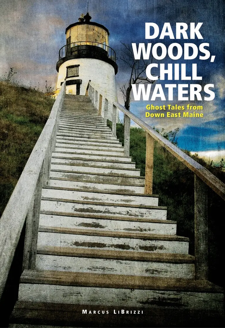 Marcus LiBrizzi - Dark Woods, Chill Waters, Häftad. Tillgänglighet: Lägg i varukorg