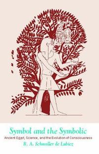 Symbol and the Symbolic