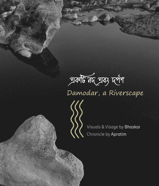 Bhaskar Mukherjee - DAMODAR, A RIVERSCAPE, E-bok