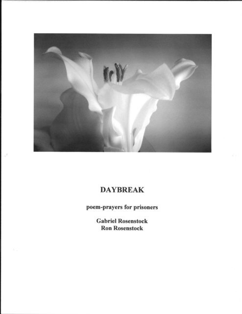Gabriel Rosenstock - Daybreak: Poem-Prayers for Prisoners, E-bok