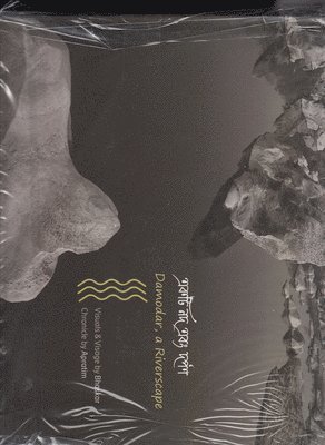 Bhaskar Mukherjee, Apratim Kundu - Damodar, a Riverscape, Inbunden
