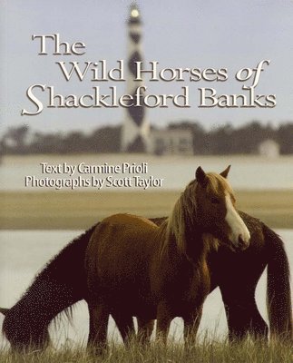 Carmine Prioli, Scott Taylor - Prioli, C: Wild Horses of Shackleford Banks, Häftad. Tillgänglighet: Tillfälligt slut