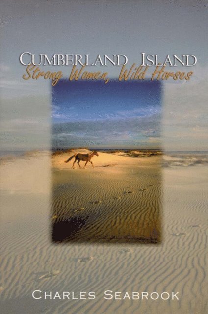 Charles Seabrook - Cumberland Island, E-bok