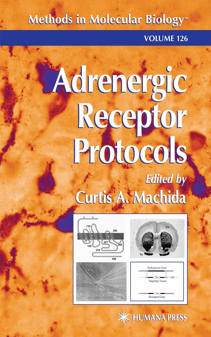 Curtis A. Machida - Adrenergic Receptor Protocols, Inbunden