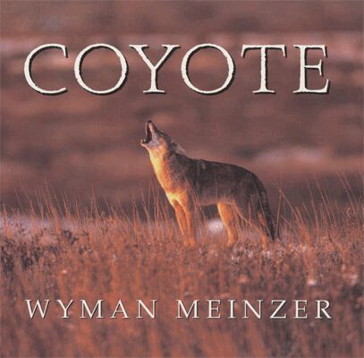 Wyman Meinzer - Coyote, Häftad. Tillgänglighet: Tillfälligt slut
