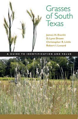 James H. Everitt, D. Lynn Drawe, Christopher Little - Grasses of South Texas, Häftad. Tillgänglighet: Tillfälligt slut