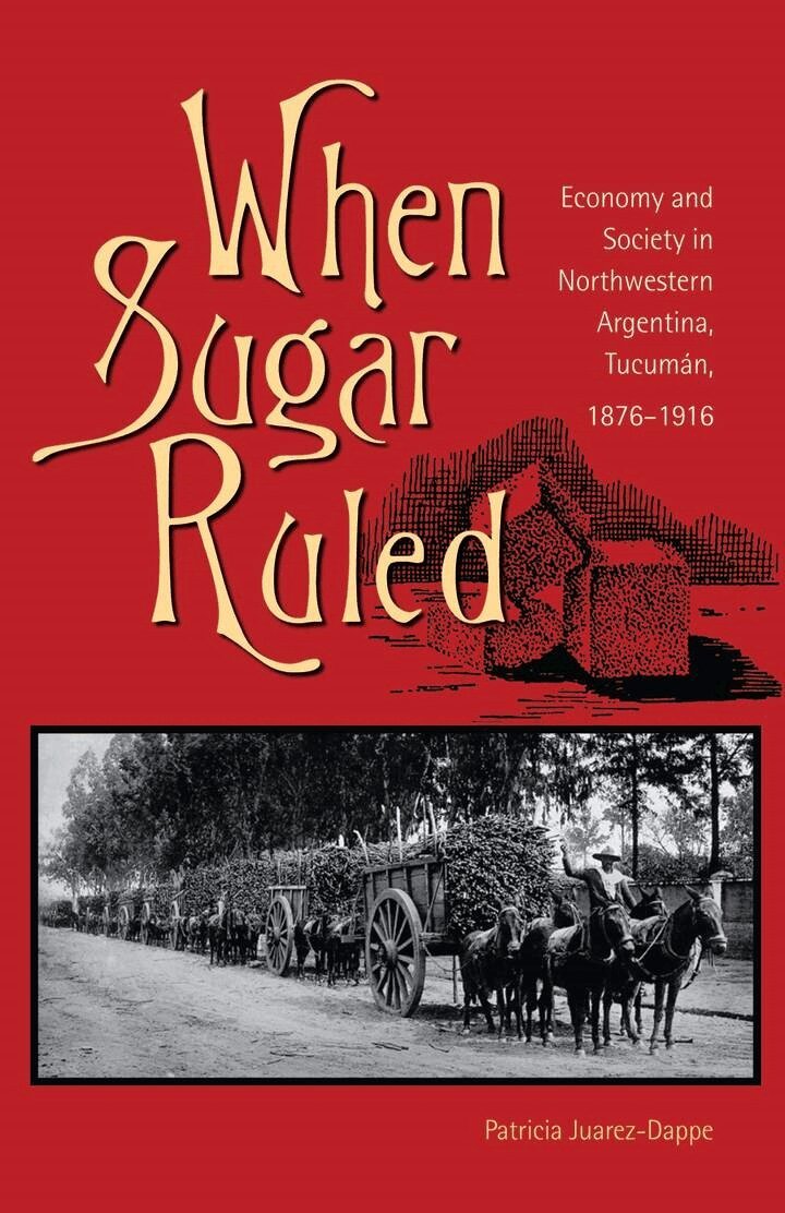 Patricia Juarez-Dappe - When Sugar Ruled, E-bok