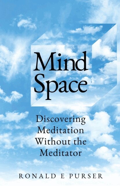 Ronald Purser - Mind Space, E-bok