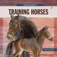 Valerie Bodden - Training Horses, Häftad. Tillgänglighet: Lägg i varukorg