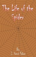 Life of the Spider