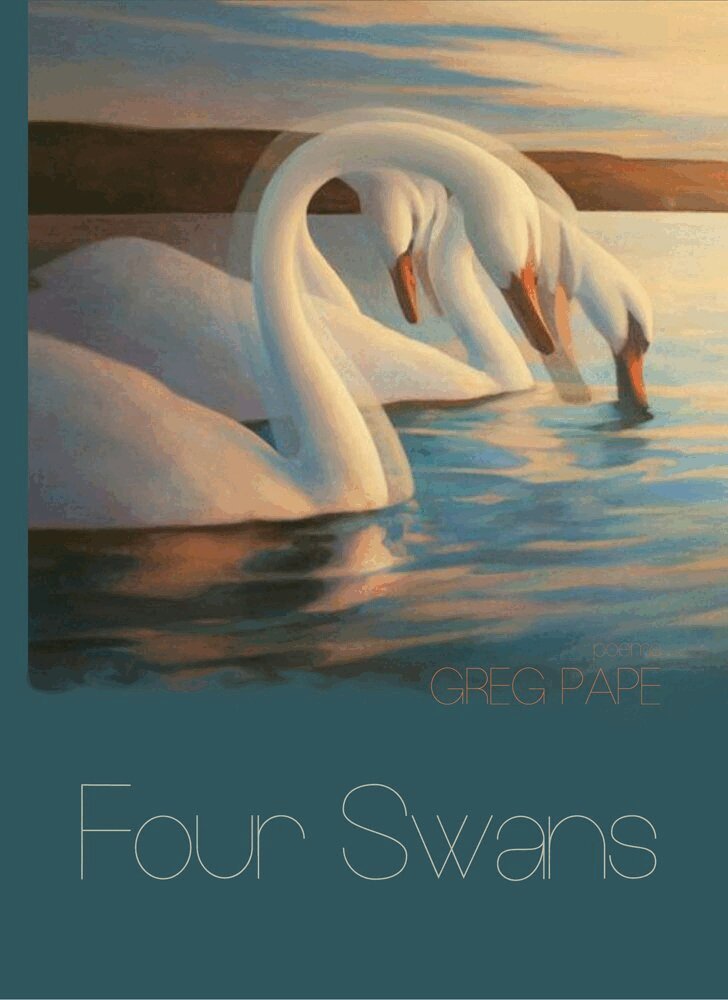 Greg Pape - Four Swans, Häftad. Tillgänglighet: Tillfälligt slut