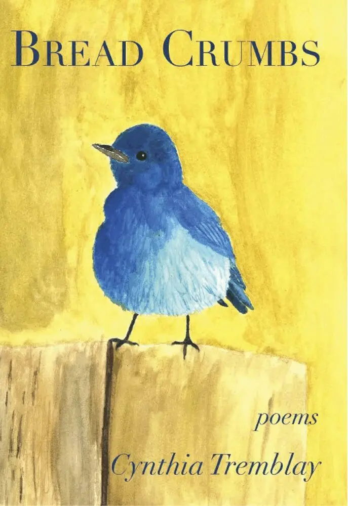 Cynthia Tremblay - Bread Crumbs, Häftad. Tillgänglighet: Lägg i varukorg