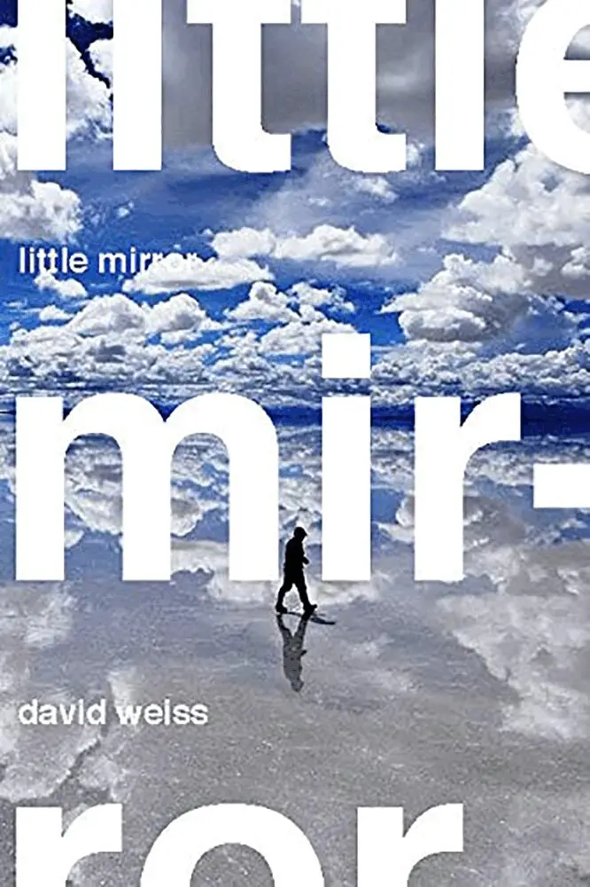 David Weiss - Little Mirror, Häftad. Tillgänglighet: Tillfälligt slut