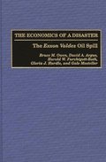 The Economics of a Disaster