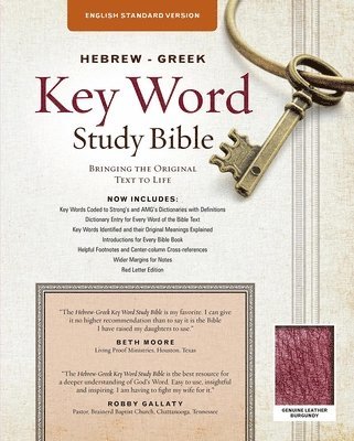 Warren Patrick Baker - ESV Hebrew-Greek Key Word Study Bible Burgundy, The, Inbunden