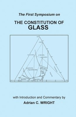 Adrian C Wright - Constitution of Glass, Häftad