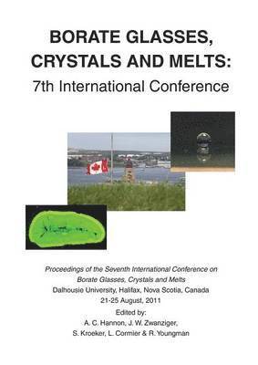 A C Hannon, J W Zwanziger, S Kroeker - Borate Glasses, Crystals, & Melts, Häftad
