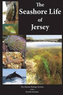 Société Jersiaise - Seashore Life of Jersey, Häftad