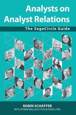 Robin Schaffer - Analysts on Analyst Relations, Häftad