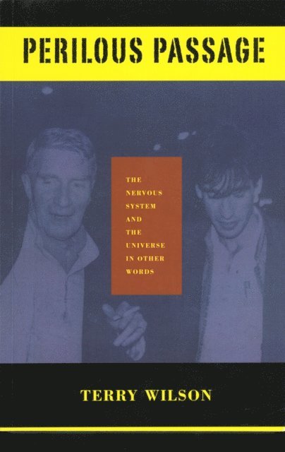 Terry Wilson - Perilous Passage, E-bok