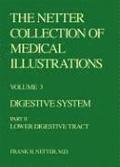 The Netter Collection of Medical Illustrations - Digestive System