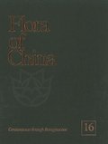 Flora Of China, Volume 16 - Gentianaceae Through Boraginaceae