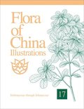 Flora Of China Illustrations, Volume 17 - Verbenaceae Through Solanaceae