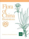 Flora Of China Illustrations, Volume 16 - Gentianaceae Through Boraginaceae