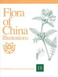 Flora Of China Illustrations, Volume 18 - Scrophulariaceae Through Gesneriaceae