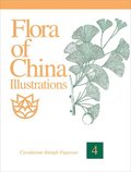 Flora Of China Illustrations, Volume 4 - Cycadaceae Through Fagaceae