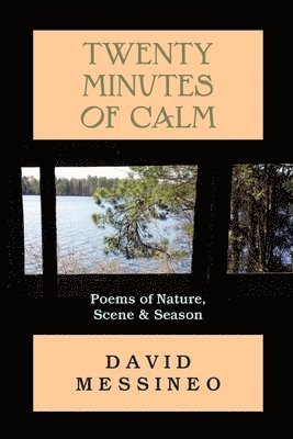 David Messineo - Twenty Minutes of Calm: Poems of Nature, Scene and Season, Häftad
