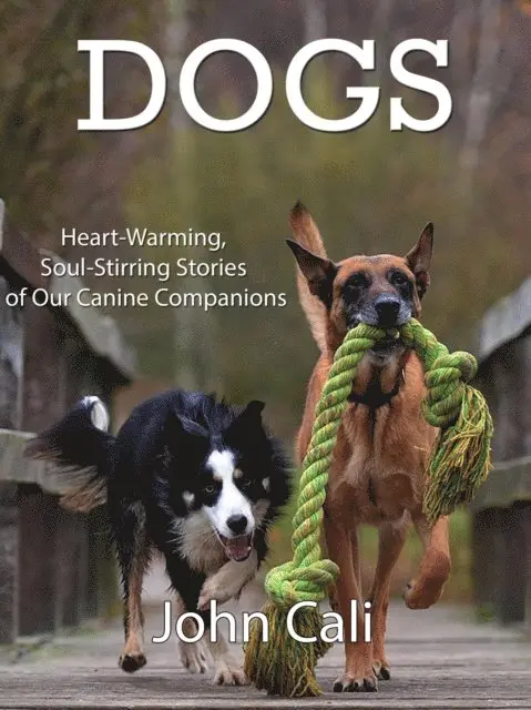 John Cali - Dogs: Heart-Warming, Soul-Stirring Stories of our Canine Companions, E-bok. Tillgänglighet: Lägg i varukorg