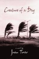 Juan Tovar - Creature of a Day, Inbunden