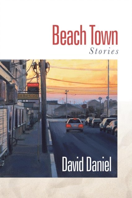 David Daniel - Beach Town: Stories, E-bok