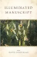 David Schelhaas - Illuminated Manuscript, Häftad. Tillgänglighet: Lägg i varukorg