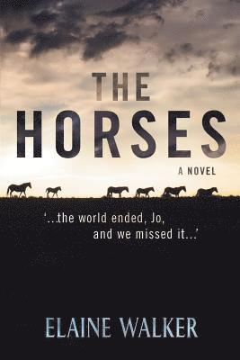 Elaine WALKER - Horses, E-bok