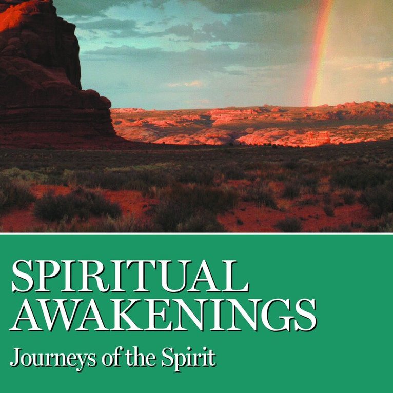 AA Grapevine - Spiritual Awakenings, Häftad